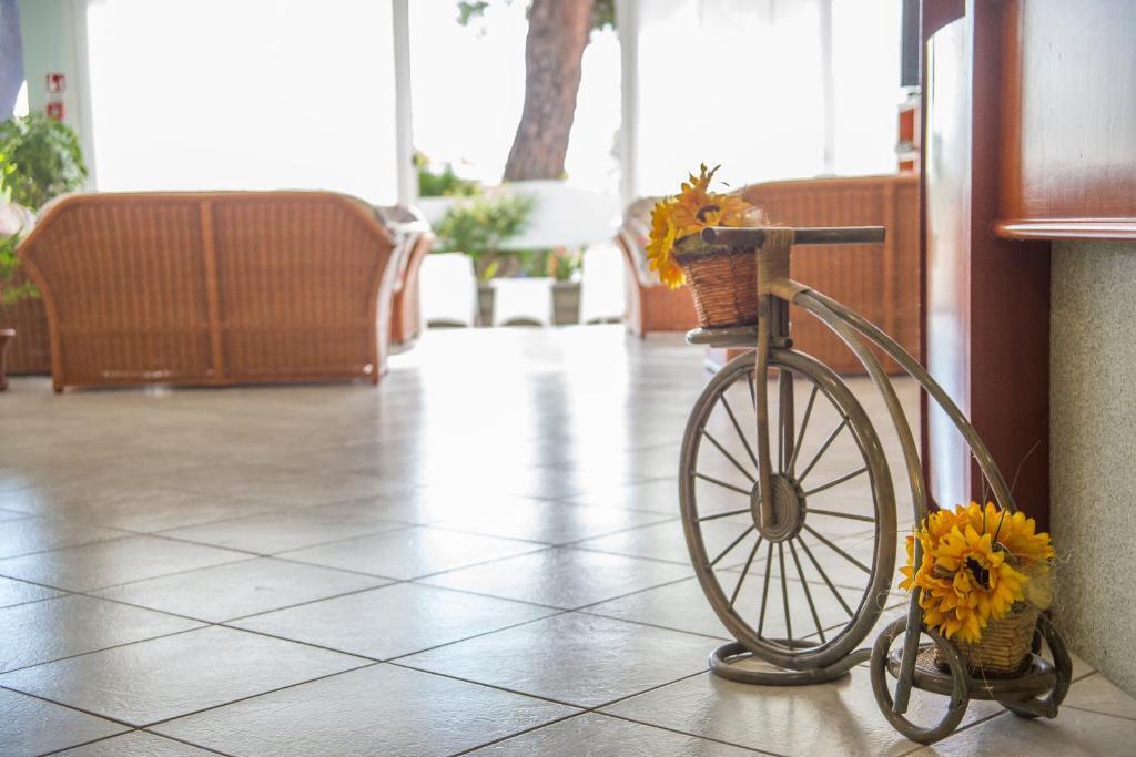 Ciccio Hotel มิซาโน อาดรีอาติโก ภายนอก รูปภาพ